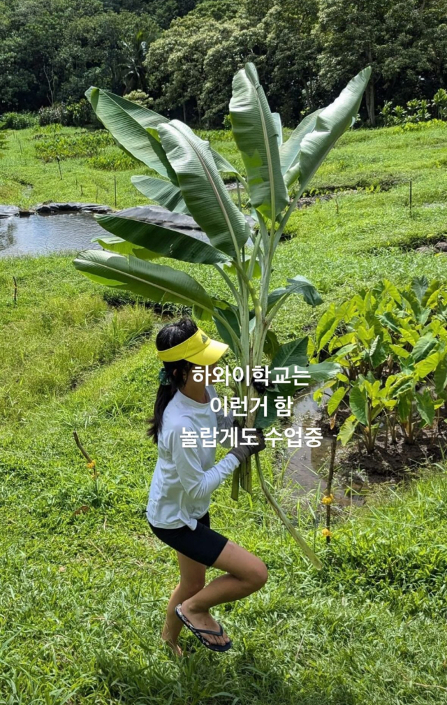 아름키교육 이미지