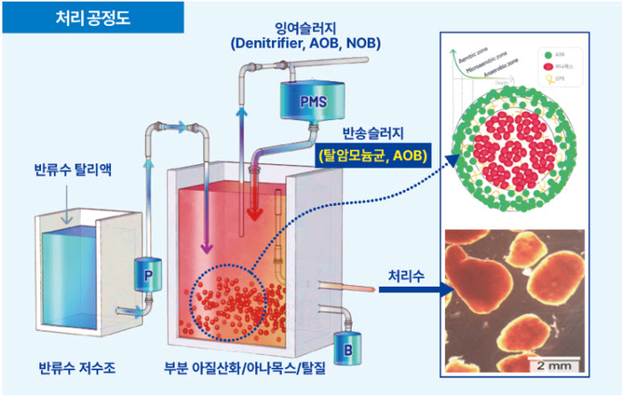 시너지랩 이미지