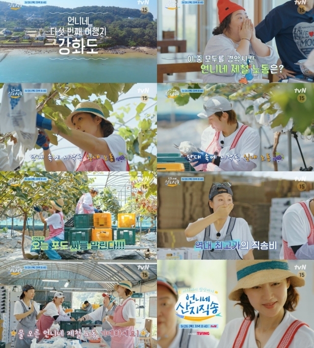 달콤한가위질 이미지