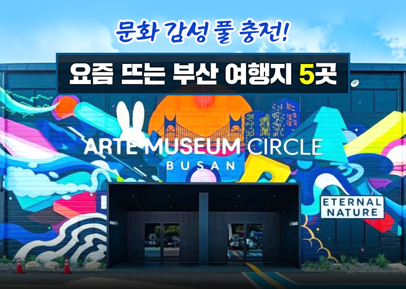 문화반점 이미지