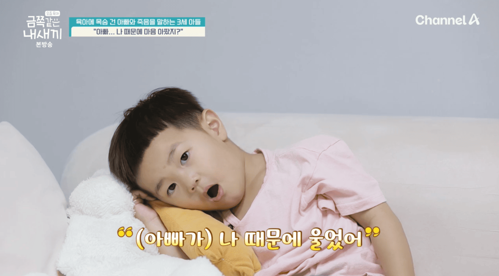 금쪽 이미지