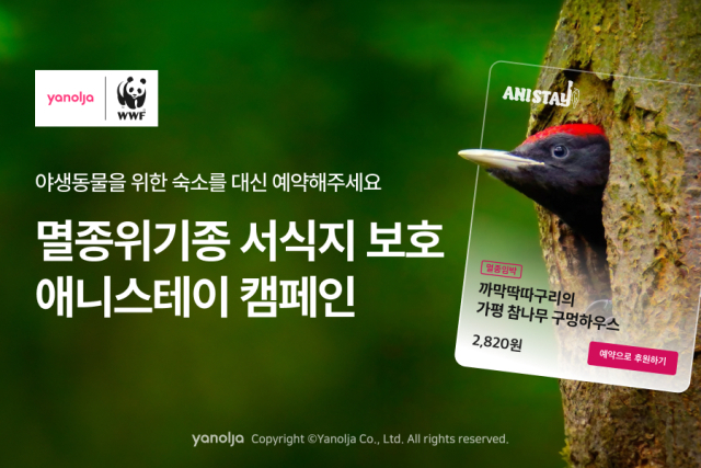 야놀자 이미지