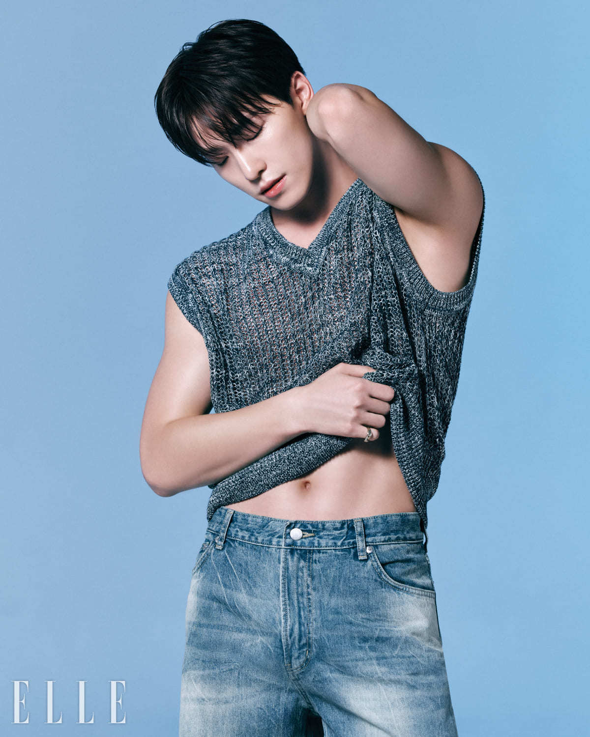 디노 이미지