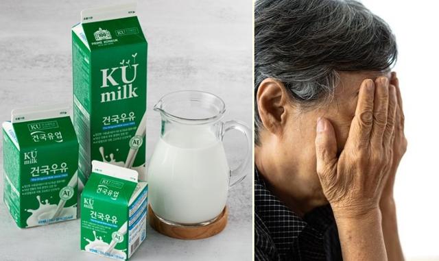 매일직업소개소 이미지