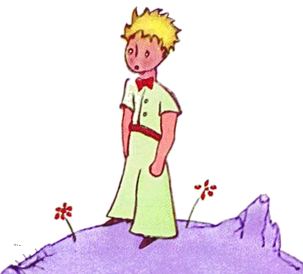 “별들은 아름다워. 보이지 않는 한 송이 꽃 때문에.”