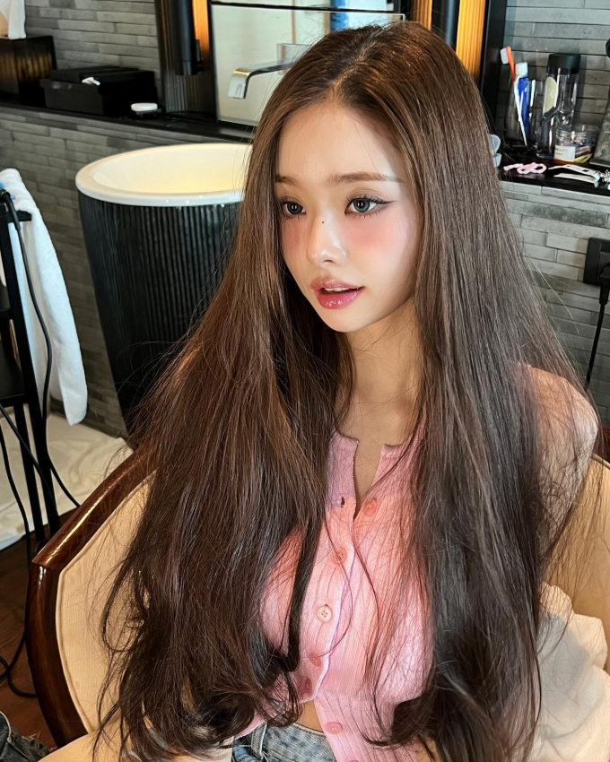 프리지아 이미지