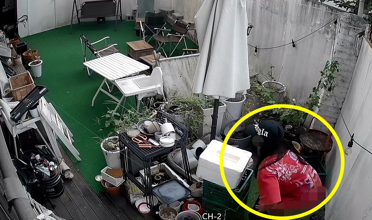 카페테라스 이미지