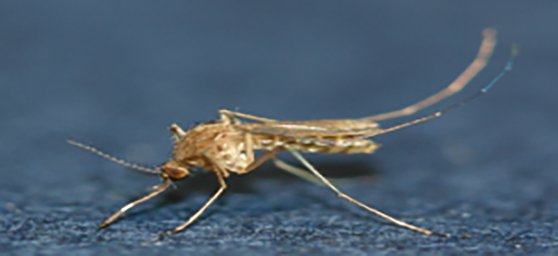 선선 이미지