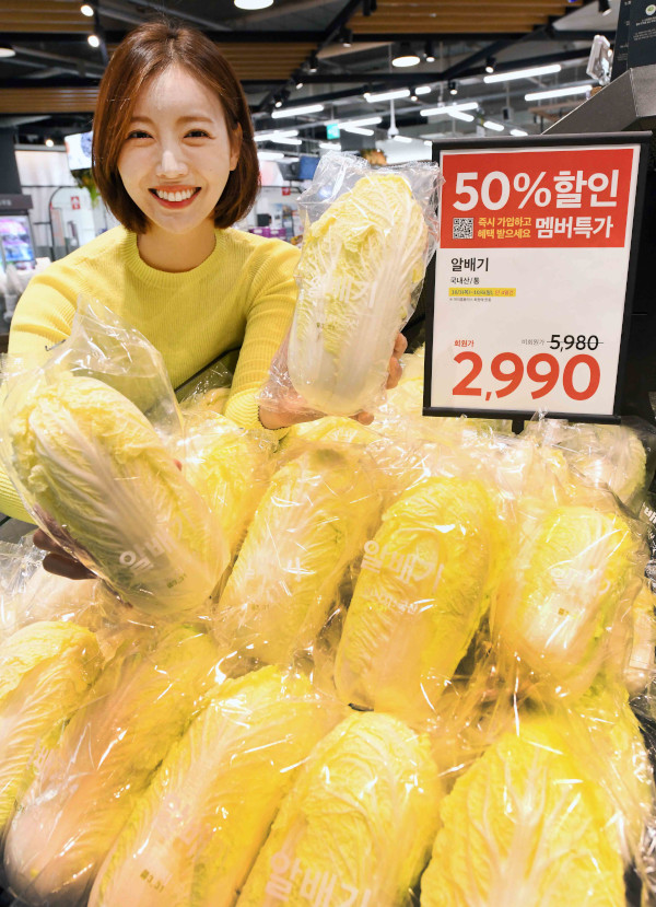 알배기 이미지