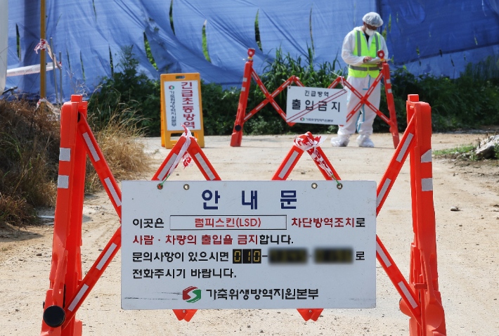 럼피 이미지