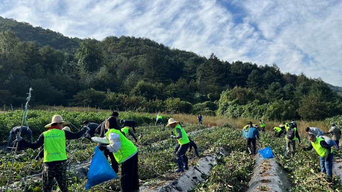 홍천농업협동조합 이미지