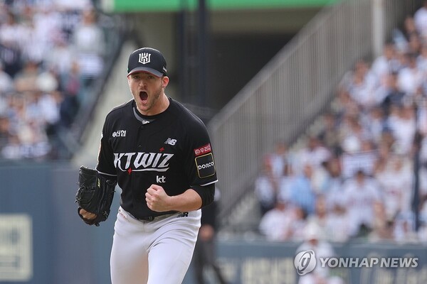 벤자민 이미지