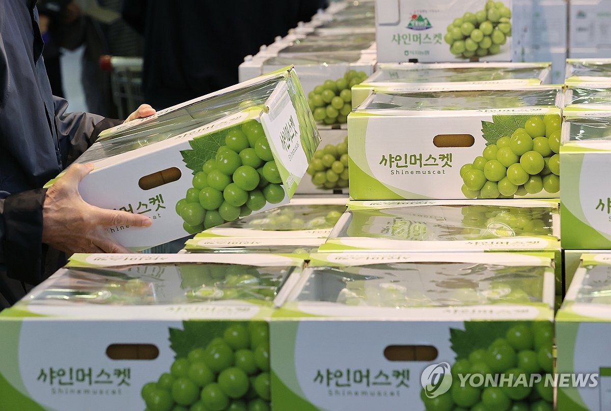 샤인 이미지