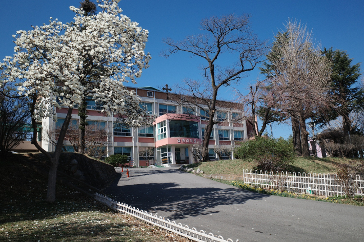하슬라 이미지