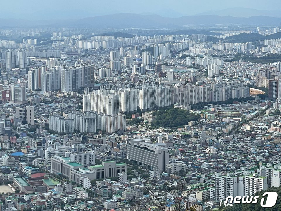 뉴스1