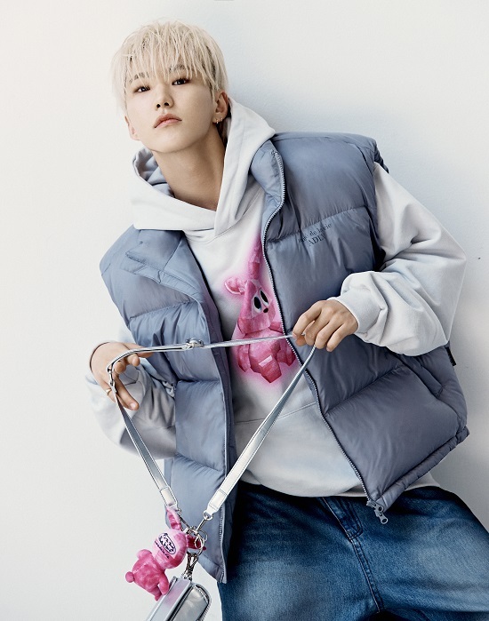라비 이미지