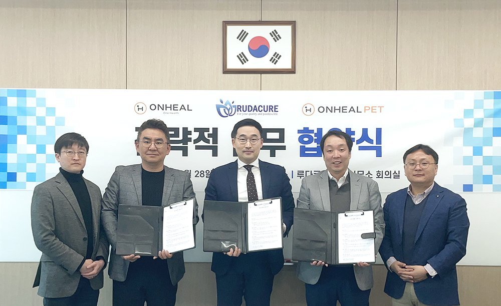 나무글로벌파트너스 이미지
