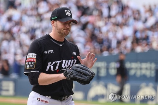 벤자민 이미지