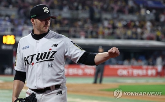 벤자민 이미지