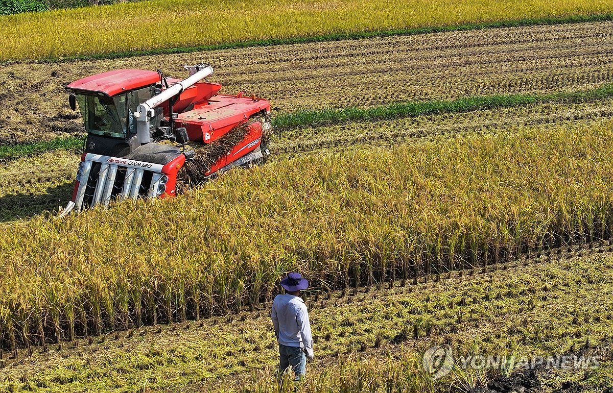 추수로 이미지
