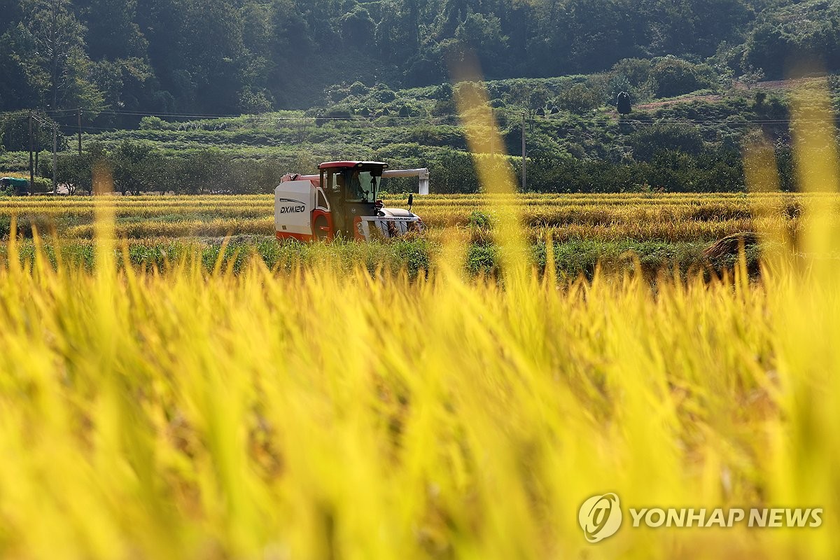 추수로 이미지