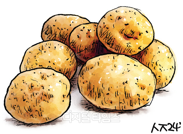 장수식품 이미지