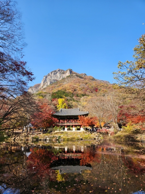 단풍 이미지