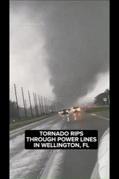 (사진=엑스 캡처)