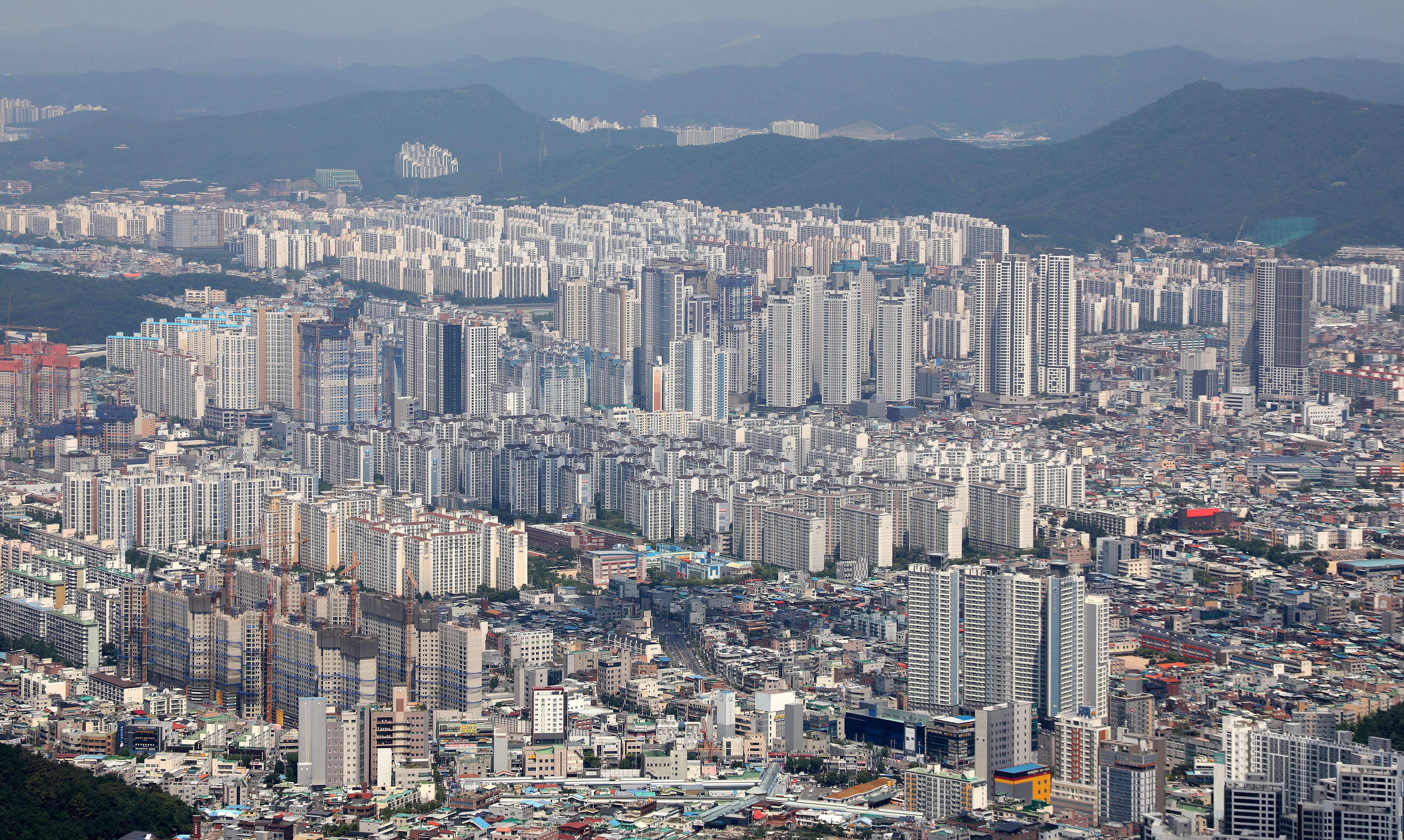 동서청과 이미지
