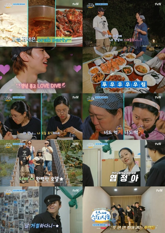 언니네 이미지