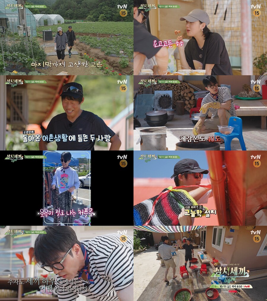 삼시세끼 이미지