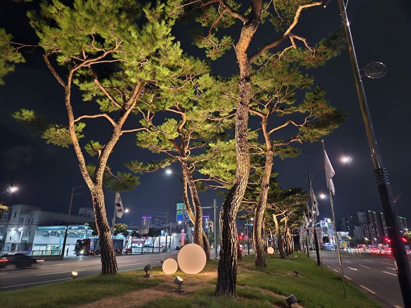 반야월 이미지
