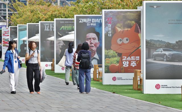 부산갈매기 사진 8
