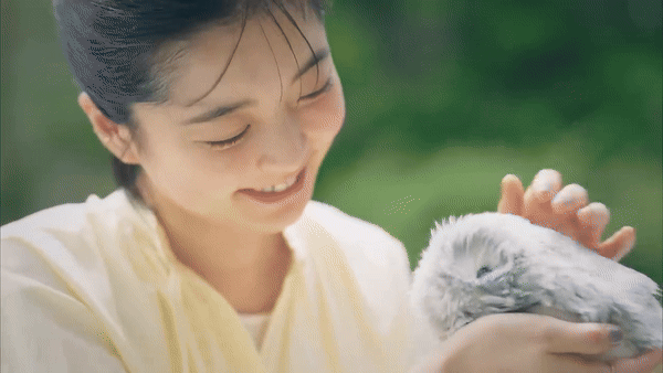 AI 반려로봇 모플린 로봇이 다음 달 출시될 예정이다. (사진=뱅가드인더스트리즈/카시오)