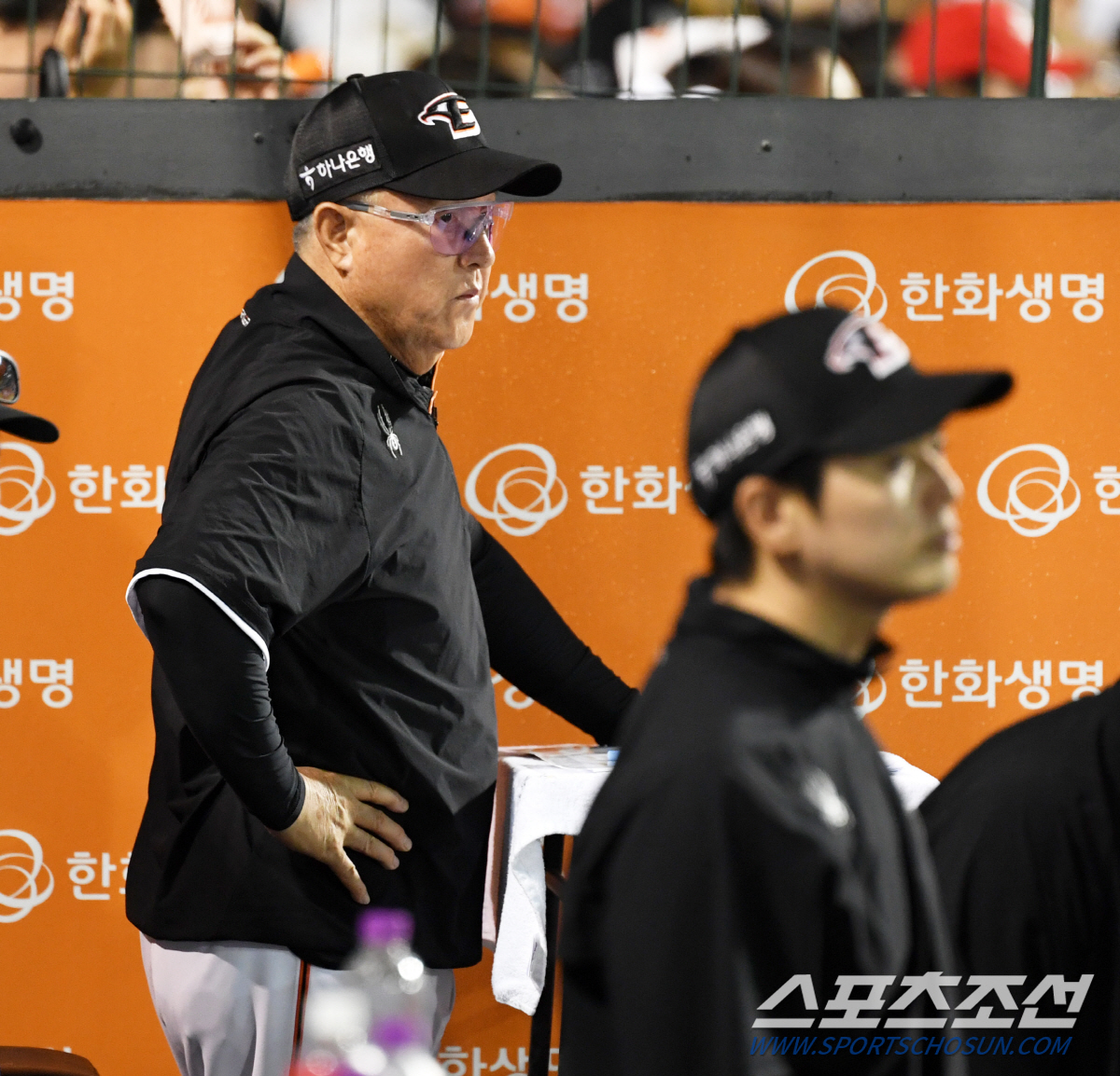 이글스 이미지
