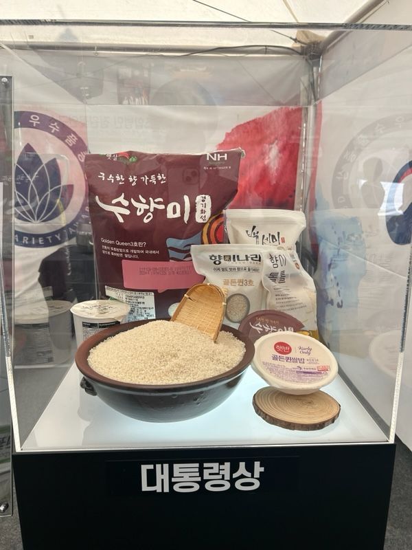 법인골든시드 이미지
