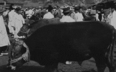 %25EB%258C%2580%25EA%25B5%25AC%2B%25EC%2