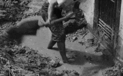 %25EC%25B2%25AD%25EC%25A3%25BC%2B%25EC%2