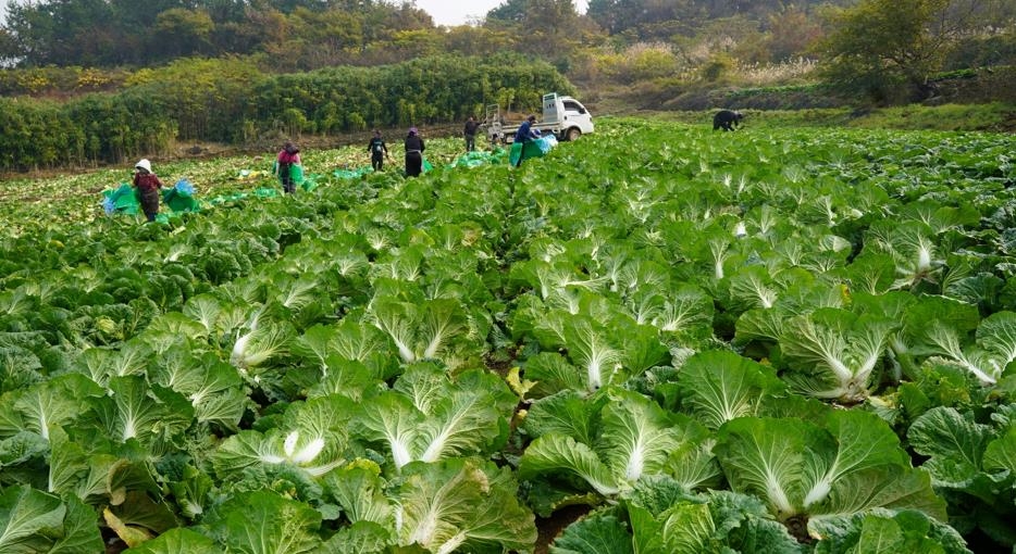 해남군직거래사업단 이미지