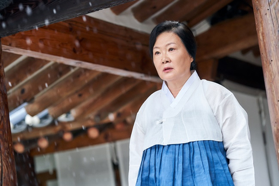 플랑크톤 이미지