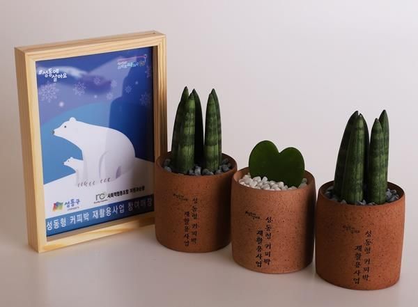 커피박 이미지