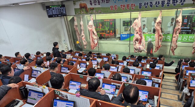 농협음성축산물공판장 이미지