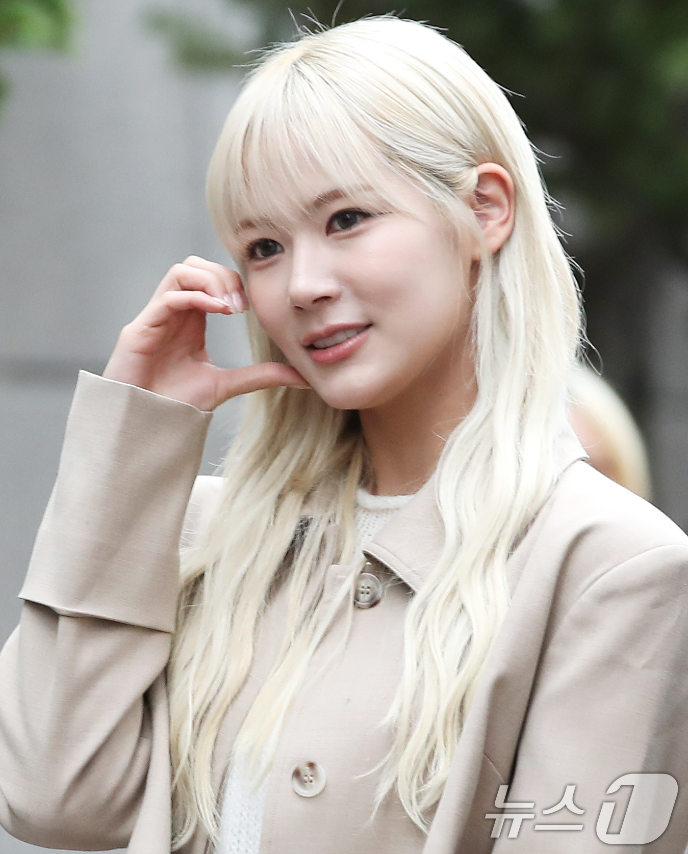 레나비 이미지