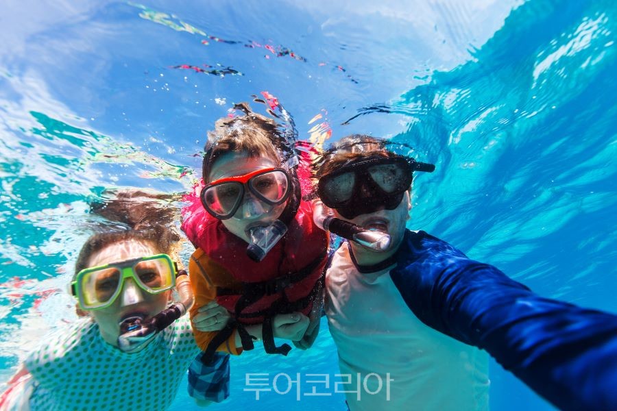 이*열 이미지