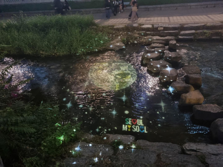 반딧 이미지