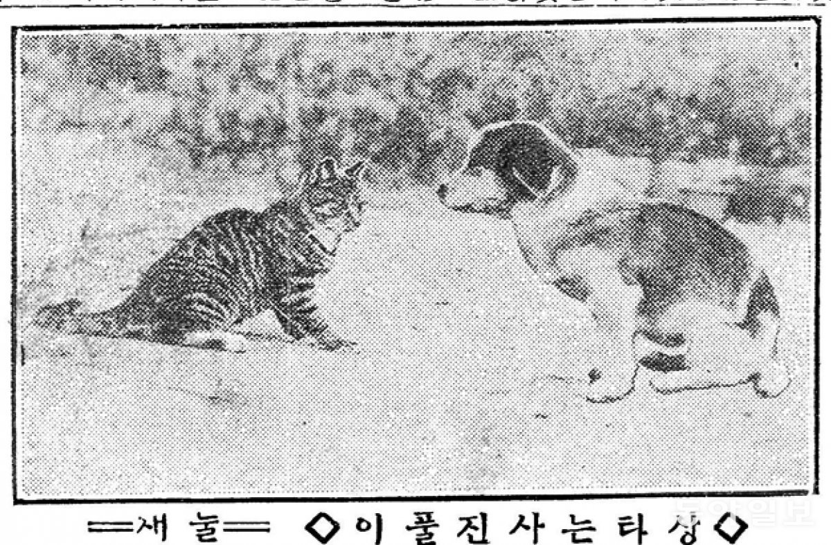 시선사진관 이미지