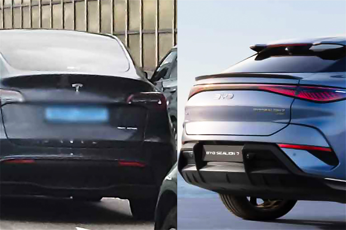 이게 8천짜리 중국차