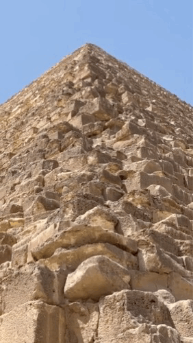 며칠 뒤 다른 여행사에서도 개 한 마리가 카프레 피라미드에서 뛰어 내려오는 모습이 목격됐다. 인스타그램 갈무리