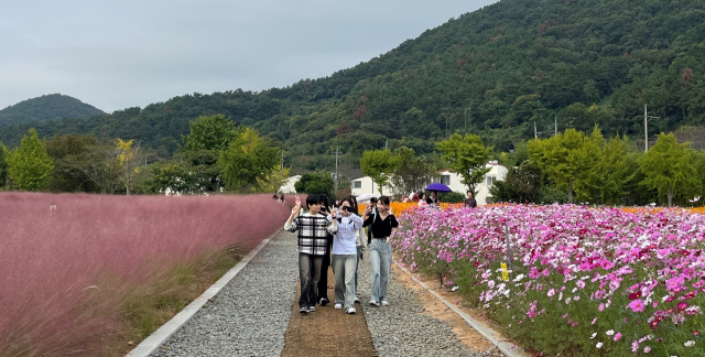 창원봉림고등학교 이미지