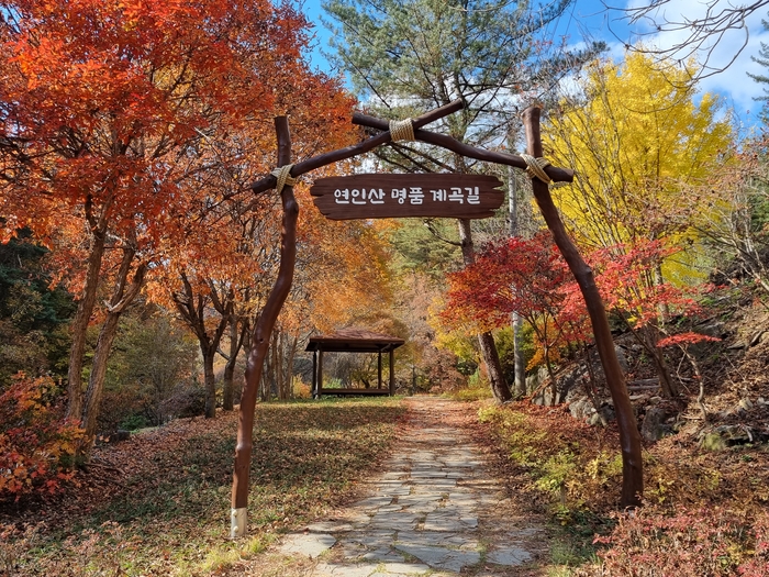 숲과벗 이미지